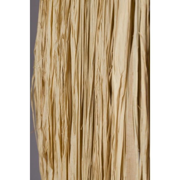 5100160_12.jpg