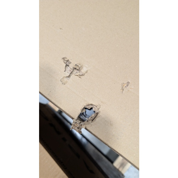 PXL_20260312_063928939 (1).jpg