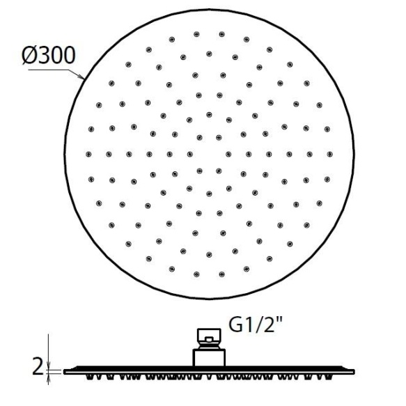 Ø 300 mm ümar laedušš, h 2 mm, gun metal