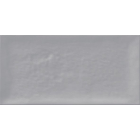 AQUA seinaplaat Gris 10x20 (pakk=1m2)