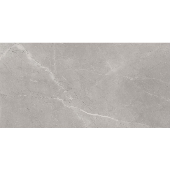 BAYONA põrandaplaat Silver Natural 60x120 (pakk=1,44m2)