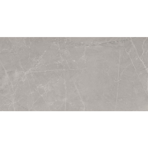 BAYONA põrandaplaat Silver Natural 60x120 (pakk=1,44m2)