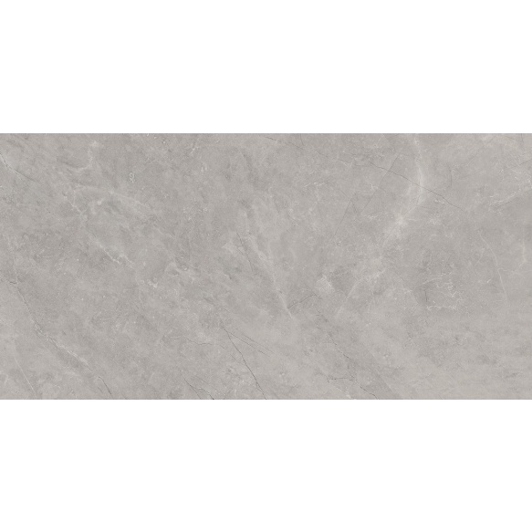 BAYONA põrandaplaat Silver Natural 60x120 (pakk=1,44m2)