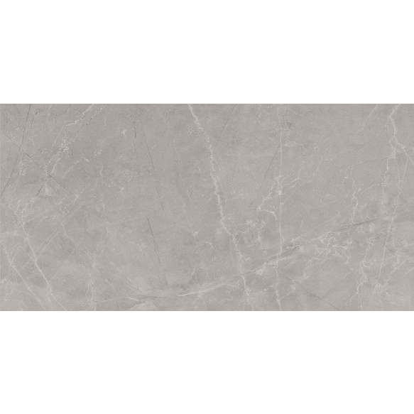 BAYONA põrandaplaat Silver Natural 60x120 (pakk=1,44m2)