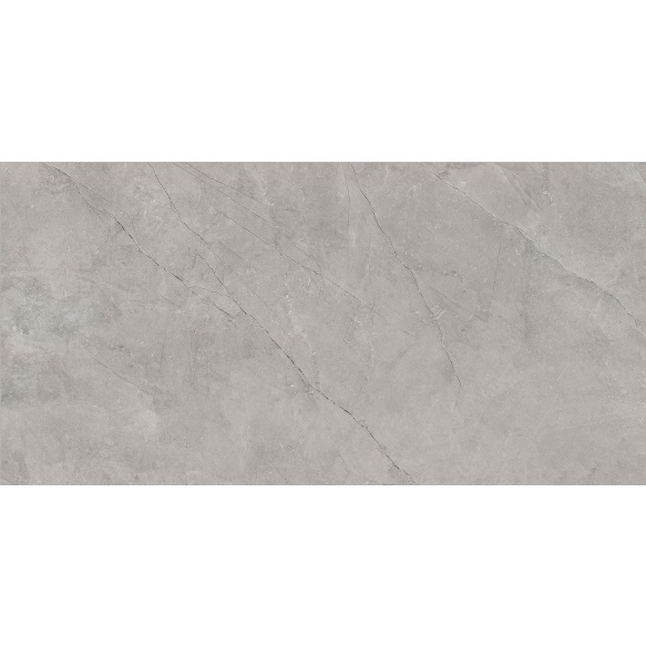 BAYONA põrandaplaat Silver Natural 60x120 (pakk=1,44m2)