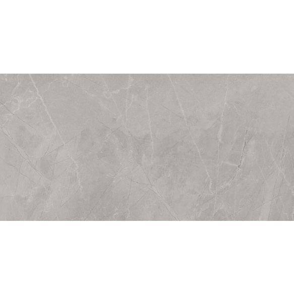 BAYONA põrandaplaat Silver Natural 60x120 (pakk=1,44m2)