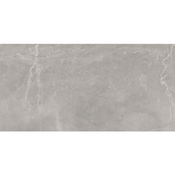 BAYONA põrandaplaat Silver Natural 60x120 (pakk=1,44m2)