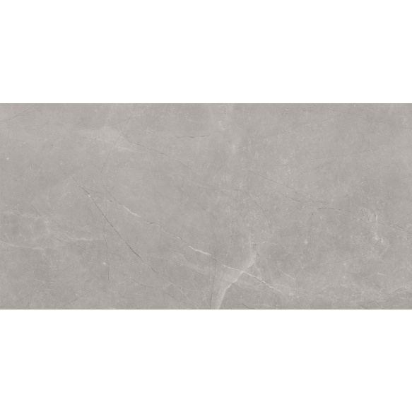 BAYONA põrandaplaat Silver Natural 60x120 (pakk=1,44m2)