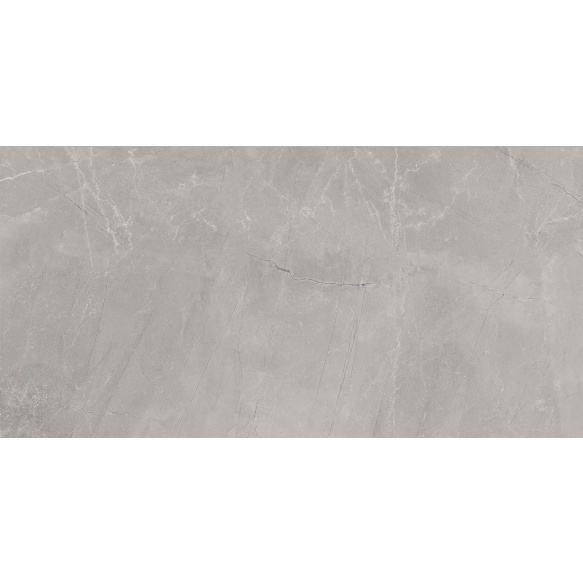 BAYONA põrandaplaat Silver Natural 60x120 (pakk=1,44m2)