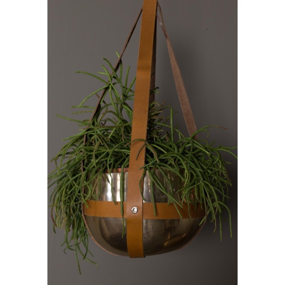 Plant Hanger Oasis