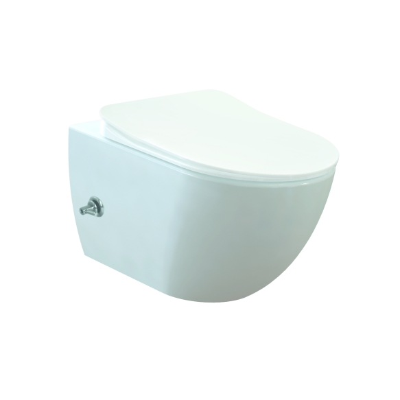 rimless wall hung toilet Free with integrated bidet faucet