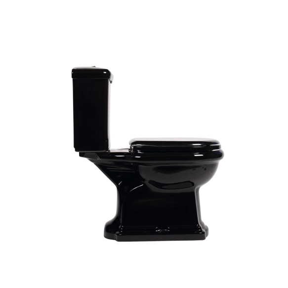 black Retro wc compact, S-trap, golden dual flush button (101204+ 108104+ 750991)