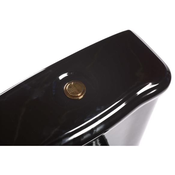 black Retro wc compact, S-trap, golden dual flush button (101204+ 108104+ 750991)