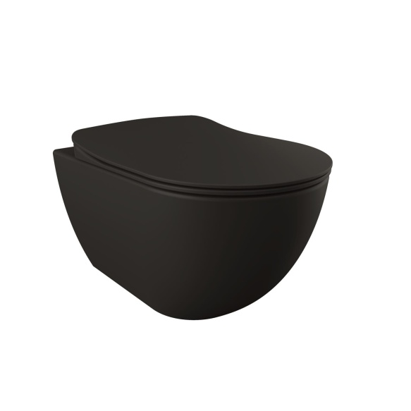 rimfree wall hung toilet Free,mat black, without seat