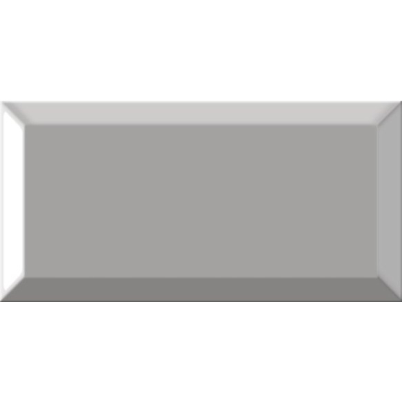 METRO SC seinaplaat Gris 10x20 (pakk=1m2)