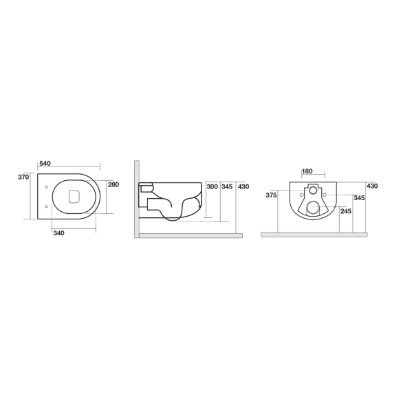 Seina WC FLO, Rimless, 37x54 cm, valge