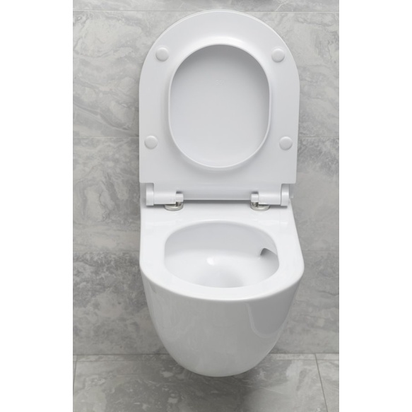 Seina WC PURA, Swirlflush, 55x36 cm, valge, seest glasuuriga, väljast matt