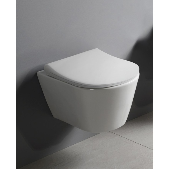 WC iste AVVA Slim Soft-close, valge/kroom