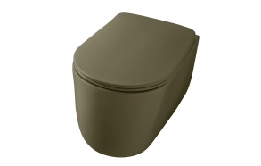 rimless wall hung toilet Nolita, green mat