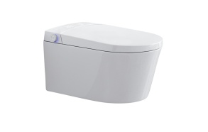 smart seina wc Rosenthal, valge