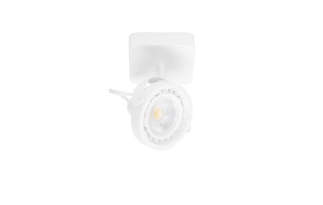 Spot Light Dice-1 DTW White