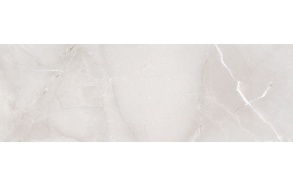 PASSION R90 Ice 30x90 (pack=1,08m2)