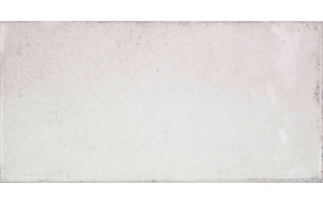 VITA Bianco 10x20 (pakk=1m2)