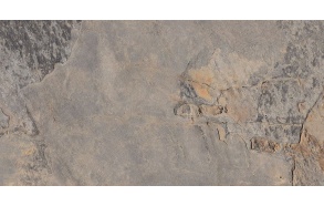 ARDESIA Gris 32x62,5 (pakk= 1 m2)