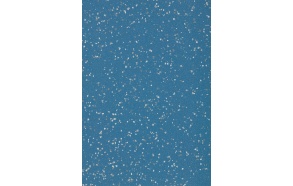 Altro Aquarius, Blue Penguin