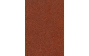 Altro Zodiac, Aries