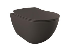 wall hung toilet Free, mat anthracite, without seat