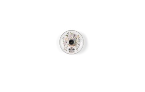 Grannies Dishes Wall Lamp Off White S