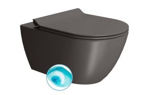 Seina WC PURA, Swirlflush, 55x36 cm, bistro, seest glasuuriga, väljast matt