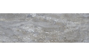 WEMBLEY Gris 20x60, sold only by cartons (1 carton = 1,44 m2)