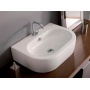valamu Flo 60x42 cm