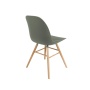 Chair Albert Kuip Green