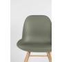 Chair Albert Kuip Green