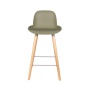 Counter Stool Albert Kuip Green