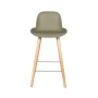 Counter Stool Albert Kuip Green