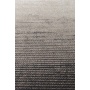 vaip Obi 200x300 hall