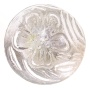 knob Glass Flower