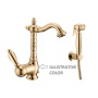 basin mixer with bidet spray New Old, bronzed