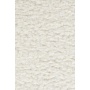 Tugitool Mother Of All Shells Teddy Natural