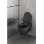 PURA Wall Hung Toilet, Swirlflush, 55x36 cm, black mat