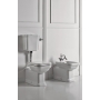 wc Waldorf +low level tank, chromed fittings,universal trap