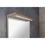 LED peegel Korin Strip 50x70x12, oak platin